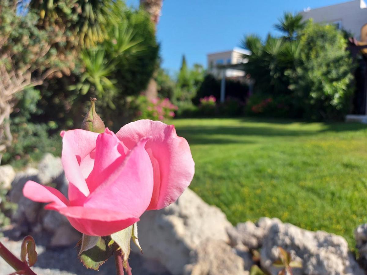Coral Bay Suite Cyprus Kültér fotó