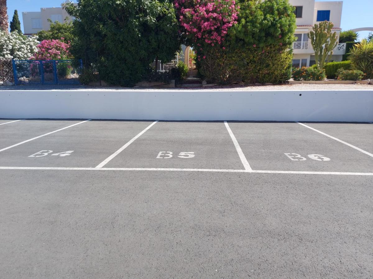 Coral Bay Suite Cyprus Kültér fotó