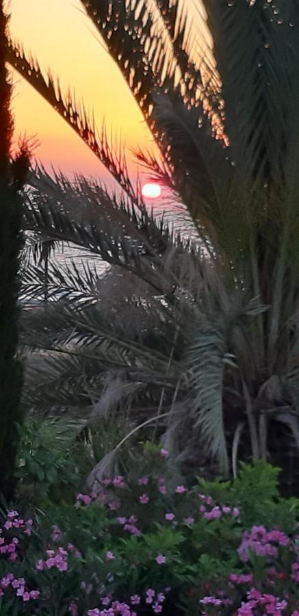 Coral Bay Suite Cyprus Kültér fotó